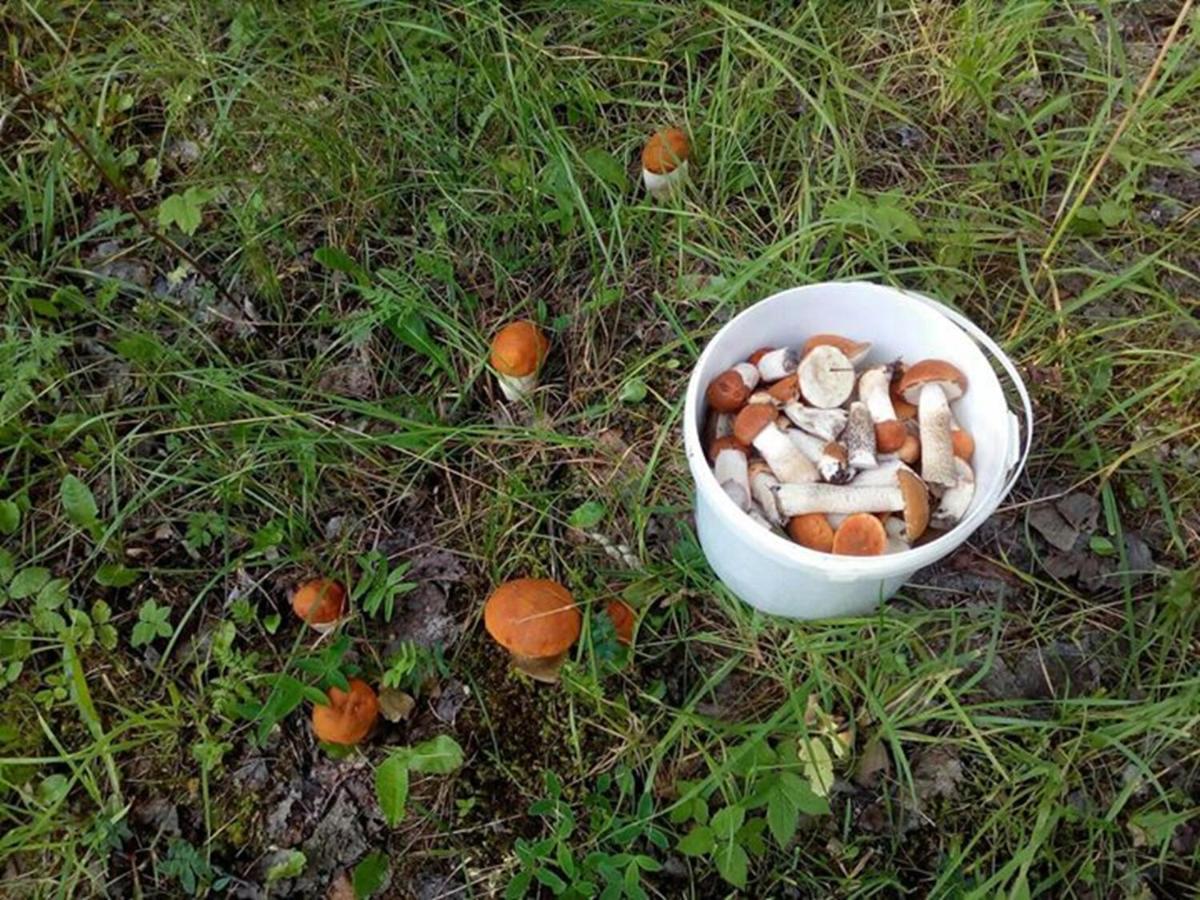 Agroturystyka A&G Dubeninki Екстер'єр фото